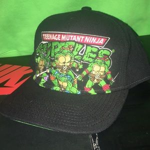 Teenage mutant ninja turtles SnapBack